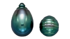 shape
